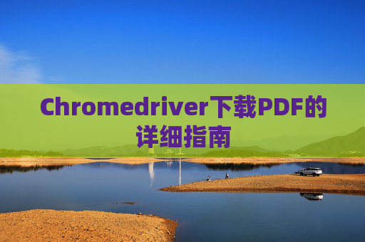 Chromedriver下载PDF的详细指南